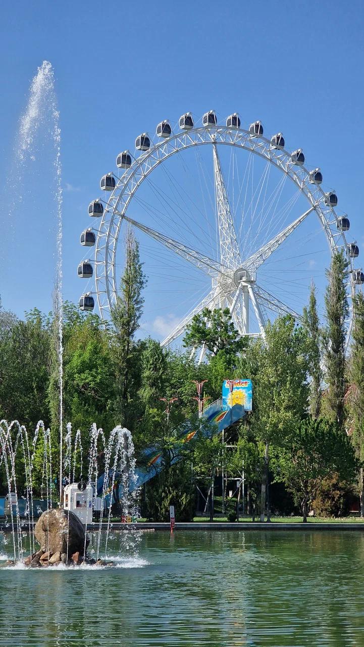 Mirzo Ulug‘bek nomidagi markaziy bog‘