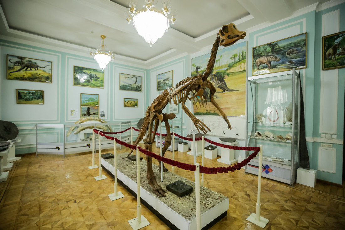 Государственный музей геологии