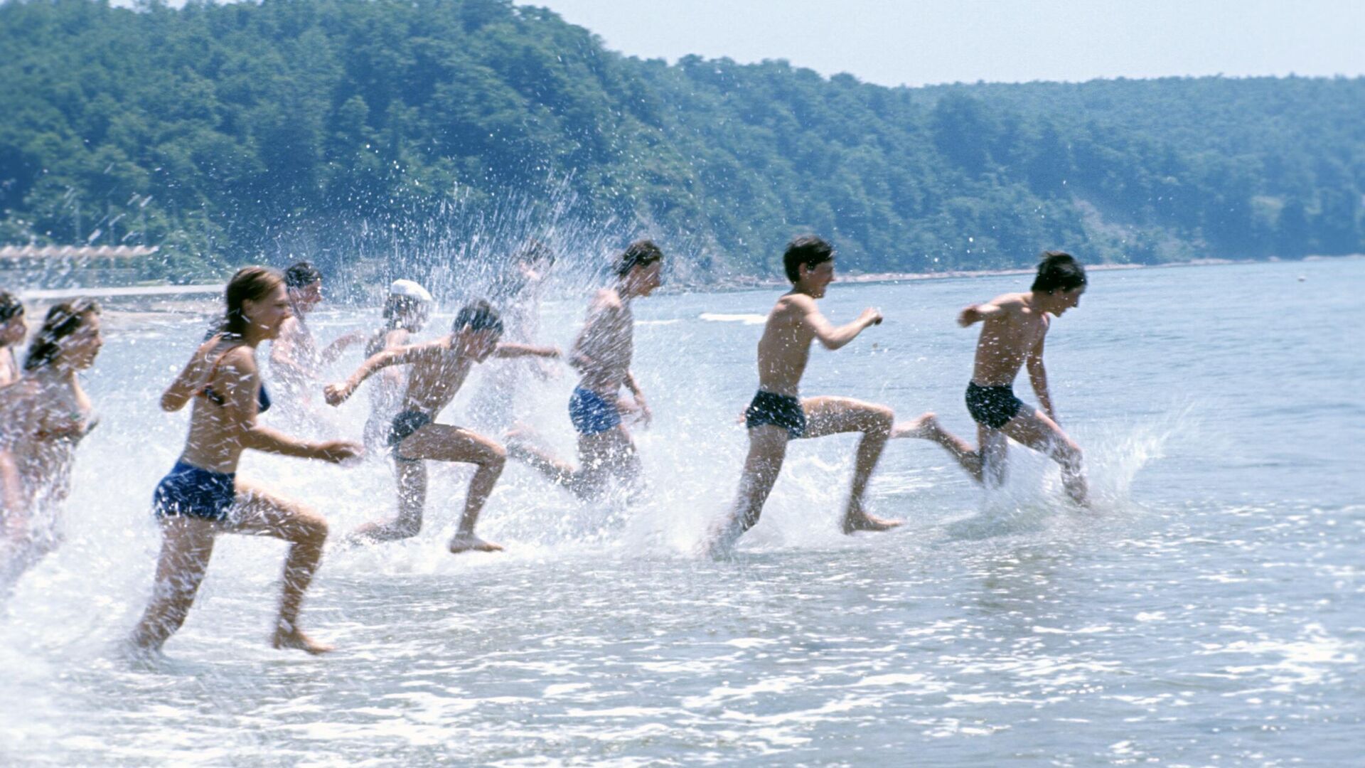 Қалқон (339-мактаб)