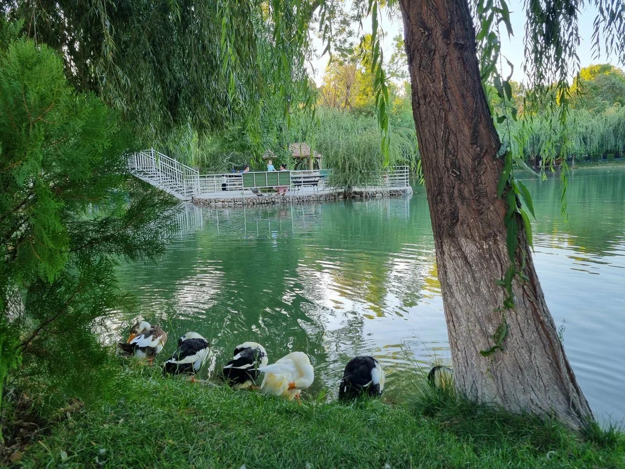 Фурқат номидаги маданият ва истироҳат боғи